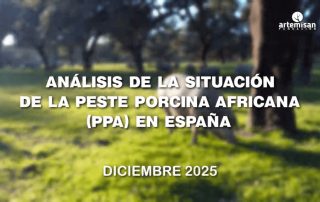 portada vídeo peste porcina africana