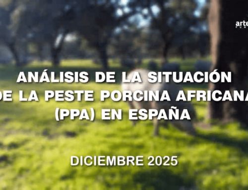 Expertos analizan la situación de la peste porcina africana en España en un nuevo documental de Fundación Artemisan