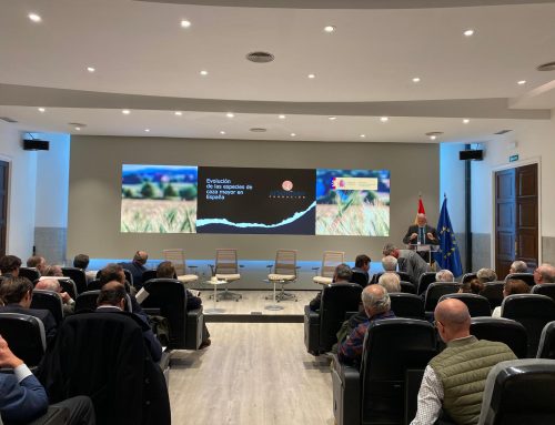 El aumento de poblaciones de caza mayor, un desafío en la gestión de enfermedades, accidentes de tráfico y daños agrícolas