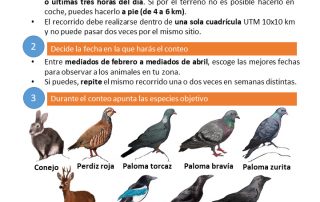 conteo residentes observatorio cinegetico 2026