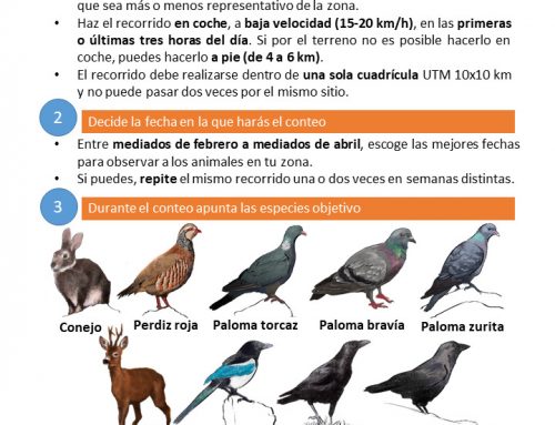 Abierta la campaña de especies residentes y conteos nocturnos del Observatorio Cinegético