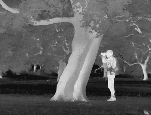 Fedexcaza y Fundación Artemisan se personan como acusación popular contra cuatro acusados por furtivismo en Badajoz