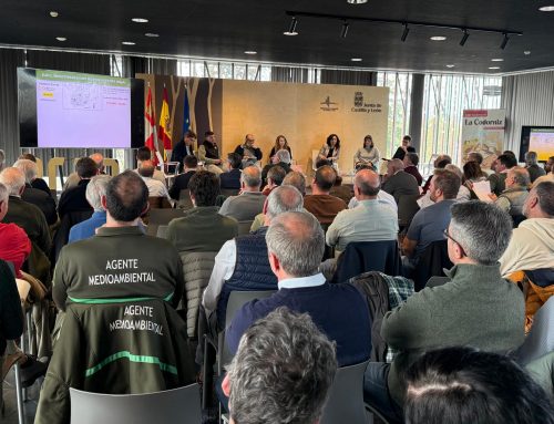 Los datos científicos aportados por cazadores centran el debate sobre el futuro de la codorniz en el Foro Nacional de Valladolid