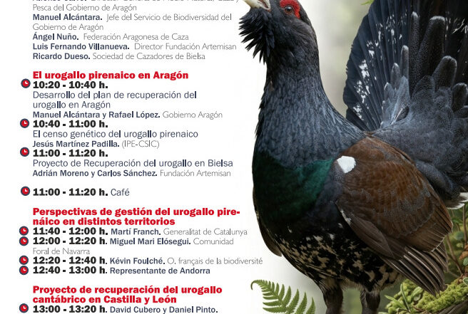 jornada urogallo en bielsa