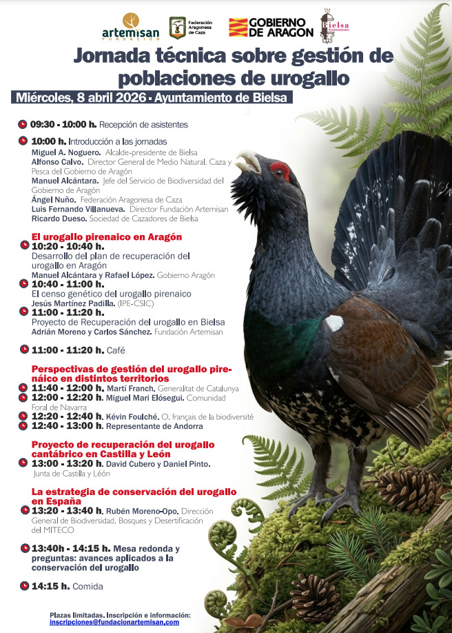 jornada urogallo en bielsa