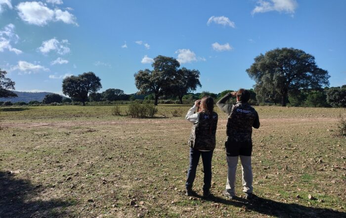 censos con el observatorio cinegético