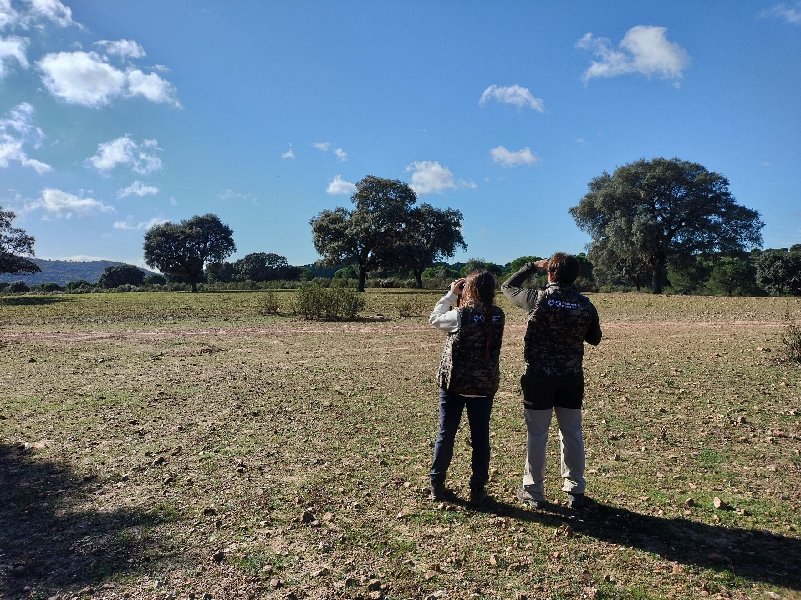 censos con el observatorio cinegético