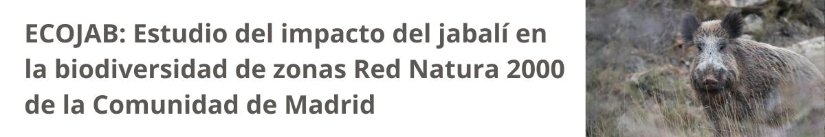 Impacto del jabalí en la biodiversidad de zonas Red Natura 2000 de la Comunidad de Madrid
