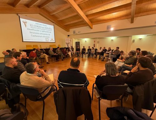 Técnicos de administraciones de 10 comunidades autónomas se reúnen para abordar la situación del corzo en España