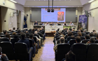 jornada jabalí