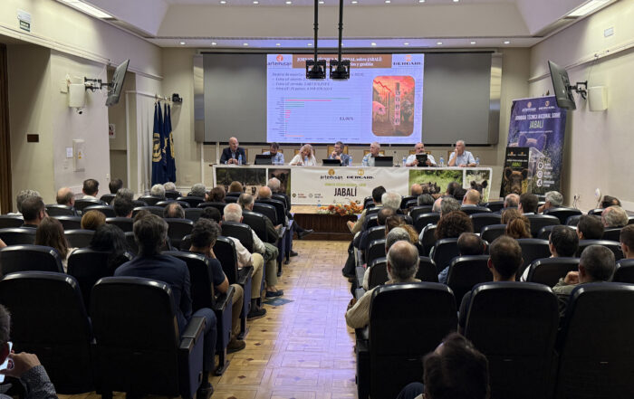 jornada jabalí