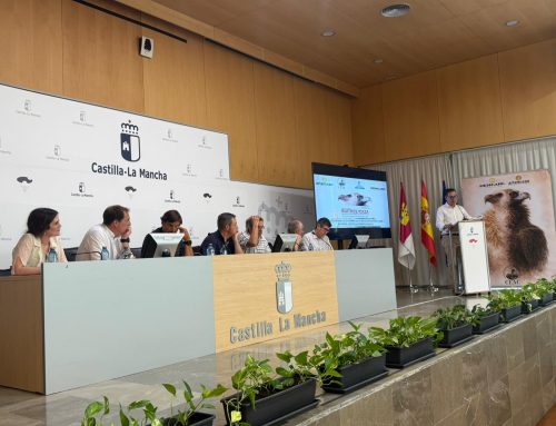 Expertos y administraciones destacan la sinergia entre caza y buitres en la conservación de ecosistemas