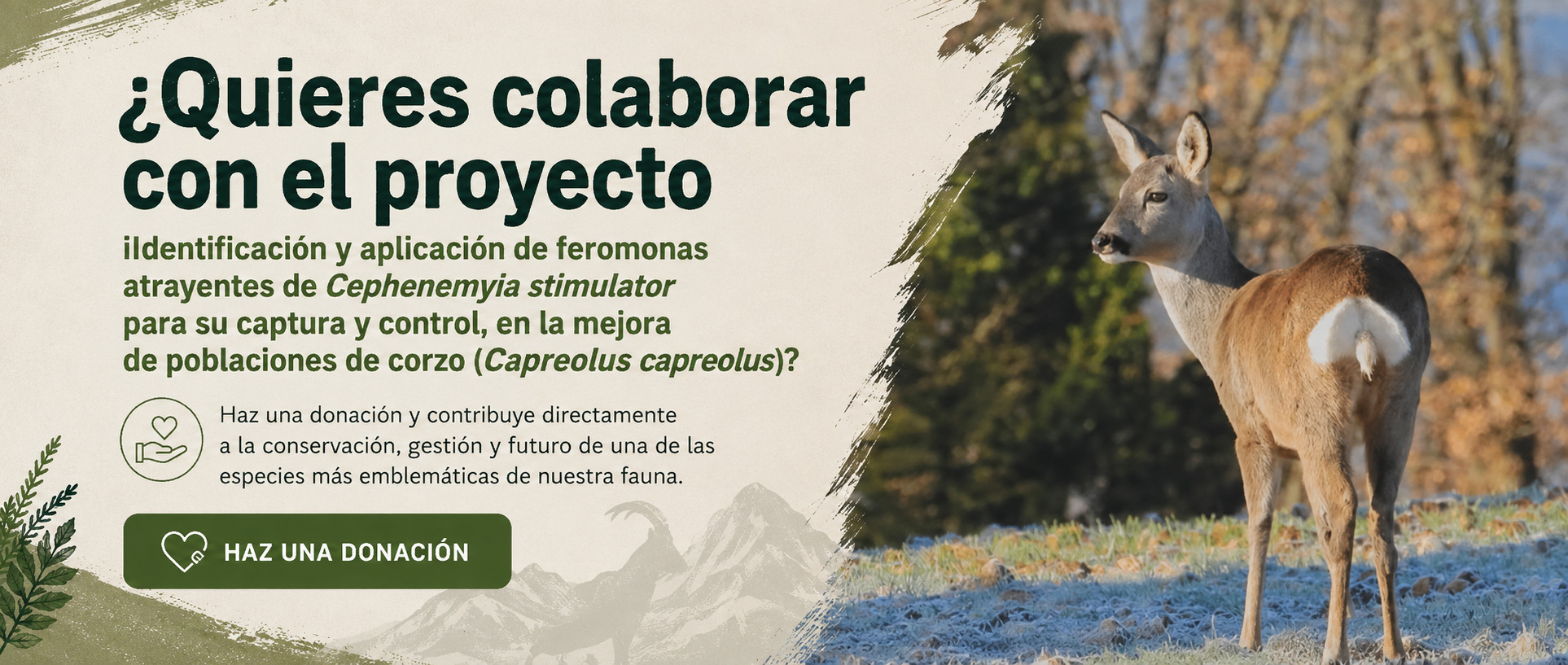 donaciones banner corzo