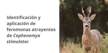 Investigación sobre Cepheneymia Stimulator