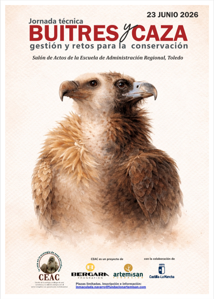 jornada buitres toledo