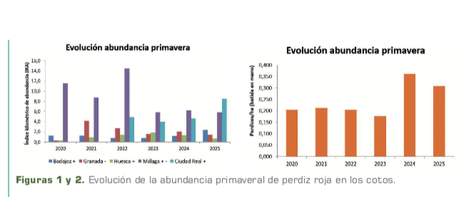 abundancia perdiz roja cotos demostrativos
