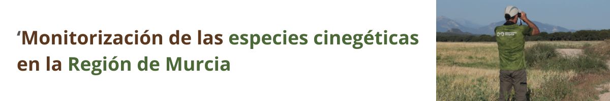 banner web monitorizacion murcia (1) Monitorización de las especies cinegéticas en la Región de Murcia