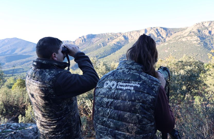 monitorizacion region de murcia monitorizacion, censo, observatorio cinegético