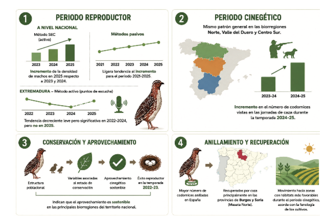 conclusiones proyecto coturnix 2025