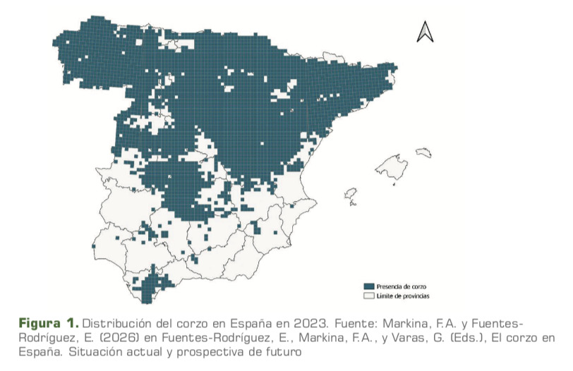 mapa de distribución de corzo en España